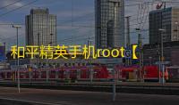 和平精英手机root【小猪】科技